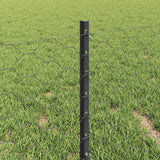 Recinzione esagonale con palo 10 x 0,4 m Grigio Rete