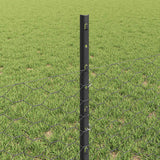 Recinzione in Rete Saldato 10 x 0,5 m (L x H)