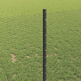 Recinzione in Rete Saldato 10 x 1 m (L x H)