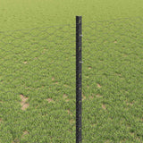 Recinzione esagonale con palo 10 x 1 m Acciaio rivestito in PVC
