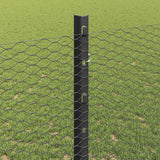 Recinzione esagonale con palo 10 x 1,2 m Grigio Rete