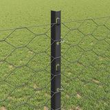 Recinzione esagonale da esterno con palo 10 x 1,2 m Grigio Rete