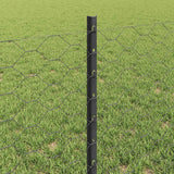 Recinzione con Posto Grigio