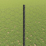 Recinzione esagonale con palo 25 x 1,4 m Grigio Rete