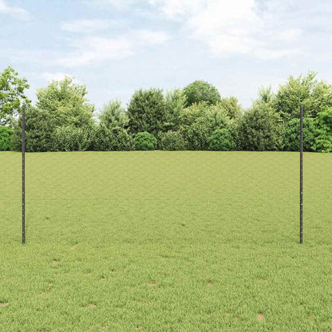 Recinzione con pali. Grigio 1.2 x 50 m Acciaio