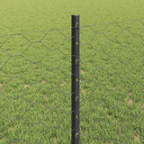 Recinzione in Rete Saldato 100 x 0,8 m (L x H)