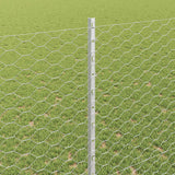 Recinzione esagonale con palo 10 x 1,4 m Acciaio zincato Rete