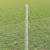 Recinzione esagonale con palo 25 x 0,5 m Acciaio zincato Rete