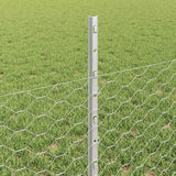 Recinzione esagonale con palo 25 x 0,5 m Acciaio zincato Rete
