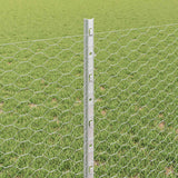 Recinzione con Posto Argento 0,8 x 25 m Acciaio