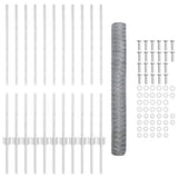 Recinzione esagonale con palo 25 x 1 m Acciaio zincato Argento
