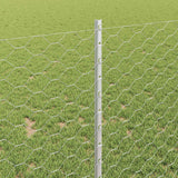 Recinzione in Rete Saldato 25 x 1 m (L x H)