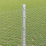Recinzione esagonale da esterno con palo 25 x 1,2 m Argento