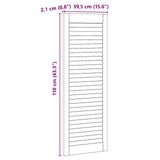 Porta per Armadio con porta 2 pcs Naturale 110 x 2,1 x 39,5 cm