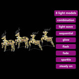 Renne LED con 80 LED 4 pcs Multicolore PET