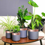 Nastro di rame doppio lato Rame 2000 x 5 cm Rame