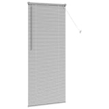 Tenda per Finestra con tende Argento Alluminio