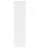 Tenda per Finestra con tende Bianco Alluminio