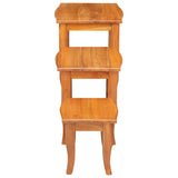 Tavolini Nesting 3 pcs Naturale Legno di Mogano Massello