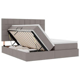 Letto con Contenitore Talpa 200 x 200 cm Pelle Sintetica
