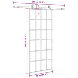 Porta Scorrevole con Ferramenta Nera 90x205 cm in Vetro ESG