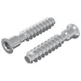 Vite a testa cilindrica 2 pcs Argento M7 x 40 mm Acciaio