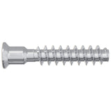 Vite a testa cilindrica 2900 pcs Argento Acciaio