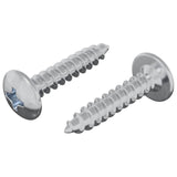 Chiodo autofilettante 2 pcs Zincato 4 x 20 mm Acciaio