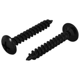 Chiodo autofilettante 2 pcs Nero 4 x 25 mm Acciaio