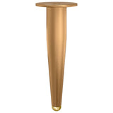 Piedi in piedi 2 pcs Oro 98 x 40 mm Ferro