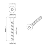 Vite 12 pcs Zincato 5 x 40 mm Ferro