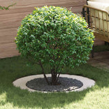 adatto per Anello d'Albero Piatto Bianco 60 / 90 cm Acciaio