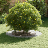 adatto per Anello d'Albero Piatto Bianco 60 / 90 cm Acciaio