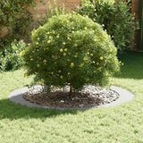 adatto per Anelli d'Albero Piatto 5 pcs Bianco 90 / 120 cm
