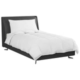 Duvet Invernale con cuscino 2 pcs Bianco Piuma d'anatra