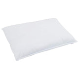 Duvet Invernale con cuscino 2 pcs Bianco Piuma d'anatra