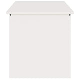 Scatola di Stoccaggio Esterno Bianco 100 x 50,5 x 50 cm Acciaio