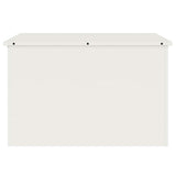 Cassa per cuscini da giardino Acciaio 80 x 50,5 x 50 cm 220