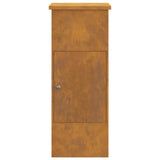 Cassetta per pacchi con porta Ruggine 44,5 x 29 x 110,5 cm