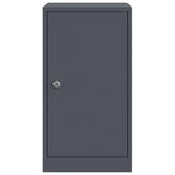 cassetta postalepastkastei Antracite 30 x 23 x 55 cm Acciaio