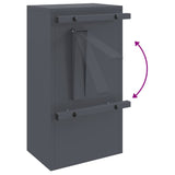 cassetta postalepastkastei Antracite 30 x 23 x 55 cm Acciaio