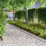 Bordura per Prato 4 pcs Argento 450 x 0.05 x 15 cm