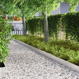 Bordura per Prato Argento 450 x 0.05 x 15 cm