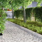 Bordura per Prato 4 pcs Argento 450 x 0.05 x 15 cm