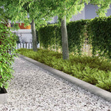 Bordura per Prato Argento 450 x 0.05 x 15 cm Acciaio zincato