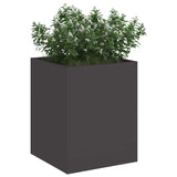 Vaso da giardino Nero 32 x 32 x 40 cm Acciaio laminato a freddo