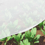 Rete Insetticida Bianco 3 x 5 m Polietilene