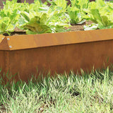 Recinto per lumache Ruggine 100 x 3,5 x 25 cm