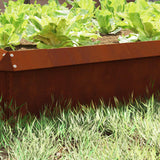 Recinto per lumache 4 pcs Ruggine 100 x 3,5 x 25 cm