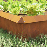 Recinto per lumache 4 pcs Ruggine 13,5 x 13,5 x 25 cm